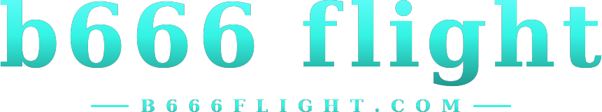 b666 flight logo